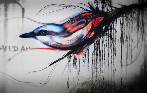 graffiti-birds-street-art-L7m-04